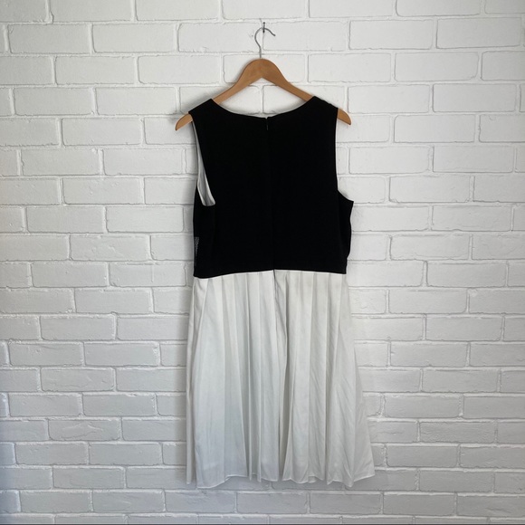 Black and White Color Block Dress - Picture 5 of 5